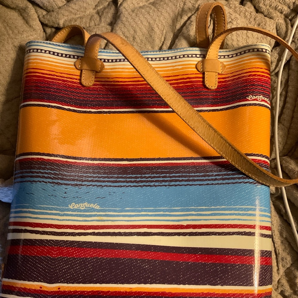 Colorful Striped Consuela bag